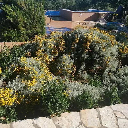 Extraordinary Marija In Kastela