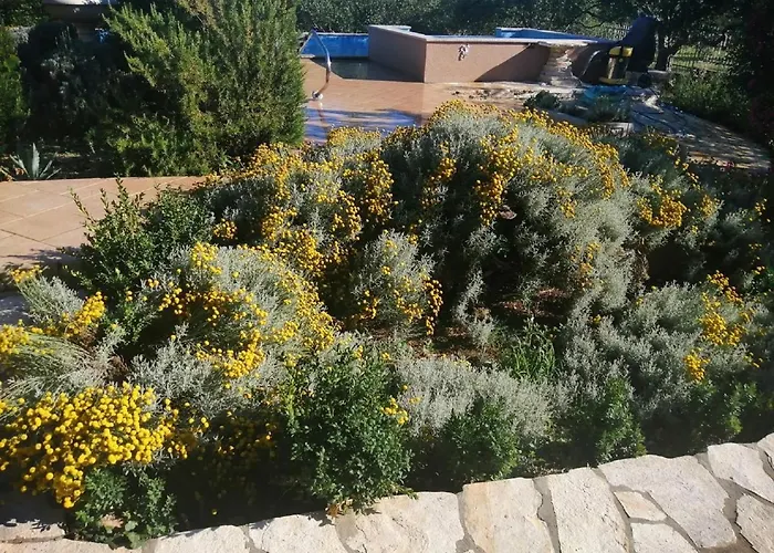 Extraordinary Marija In Kastela